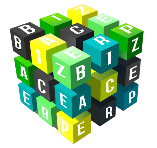 Biz Ace customised ERP cube
